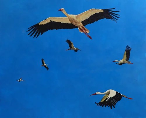 INTERVIEW | Miguel Garcia - Marques de Jadraque